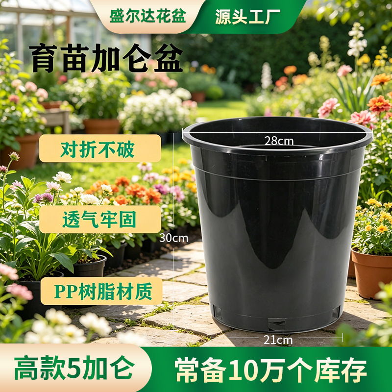 移栽花盆营养钵